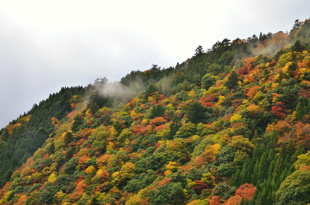 石榑峠のトンネルを抜けると