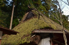 茅葺き