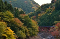 橋を眺めて