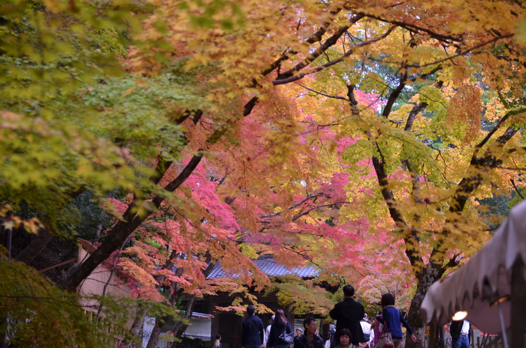 永源寺