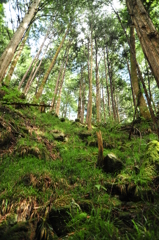 阿寺渓谷