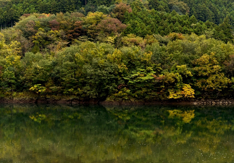 _6100144