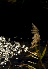 _6100819