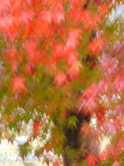 palette