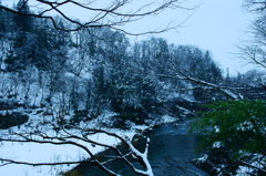 雪景色　緑のある風景