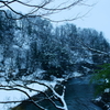 雪景色　緑のある風景