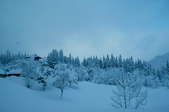 豪雪