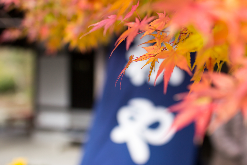 和