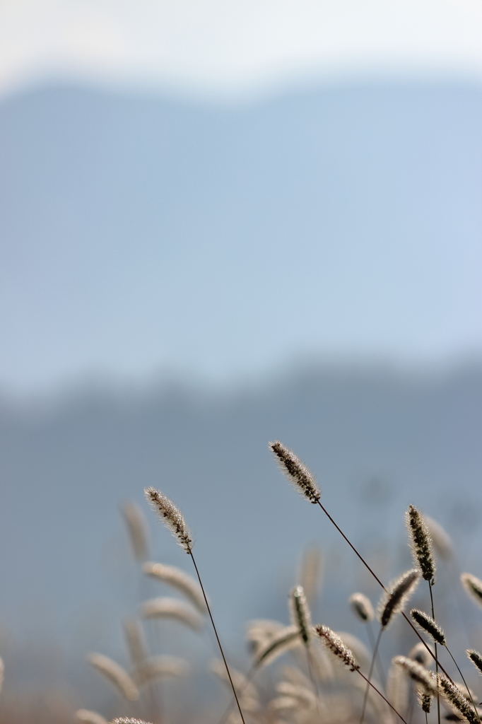 気持ちのイイ朝