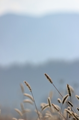 気持ちのイイ朝