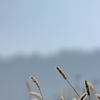 気持ちのイイ朝