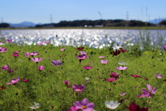 キラキラ