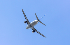 Fly
