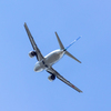 Fly