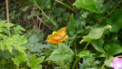 20131012224459