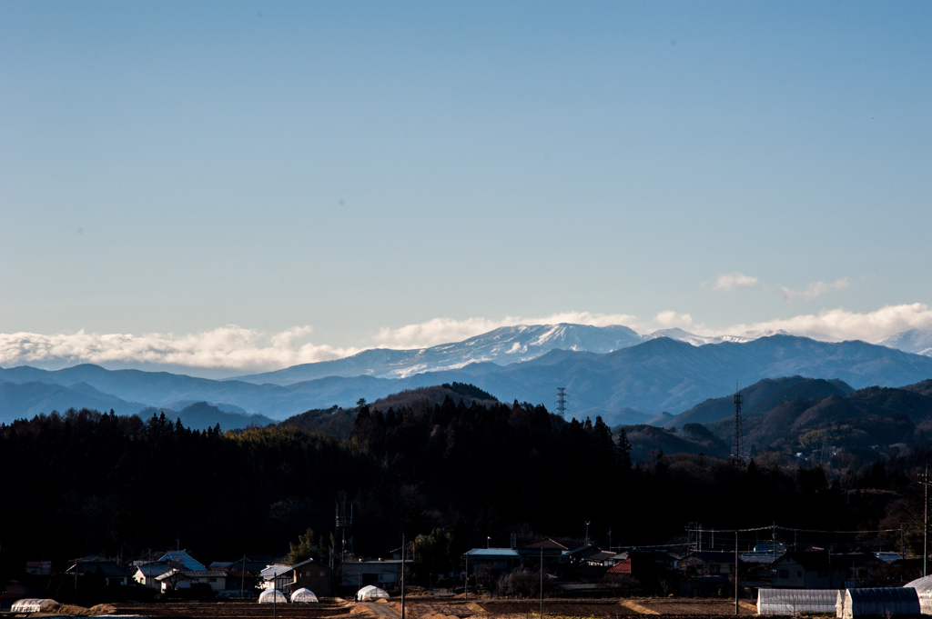 うちの山