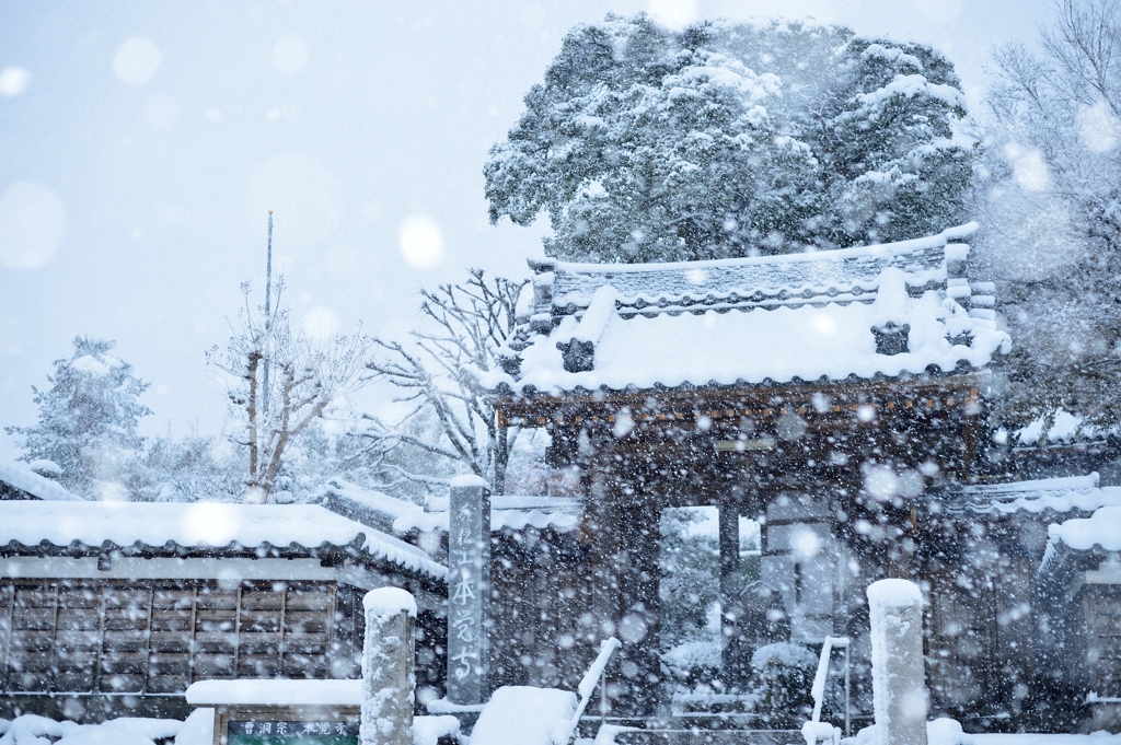 本覚寺
