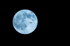 Fly Me to the Bluemoon