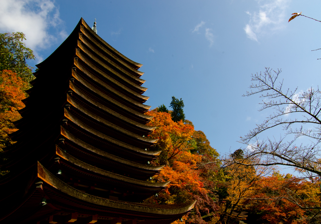 紅葉と十三重塔