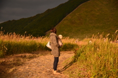 曽爾高原
