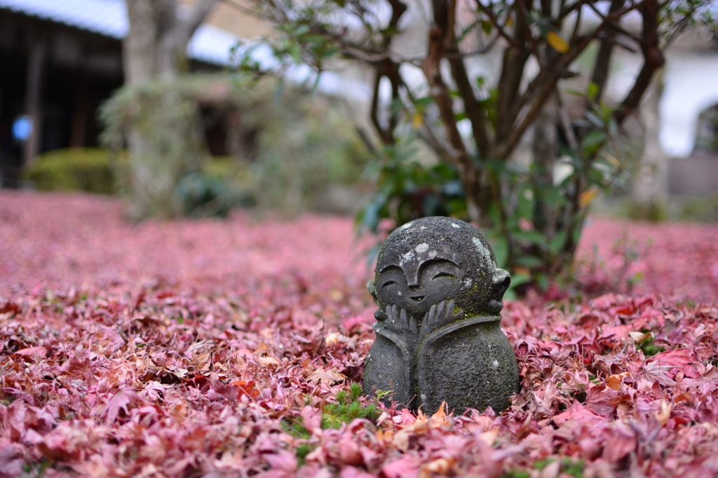 優しいお顔