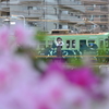 京阪電車