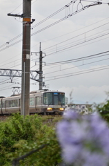 223系