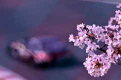 鈴鹿スーパー耐久