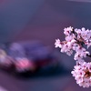 鈴鹿スーパー耐久