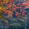 定光寺　紅葉