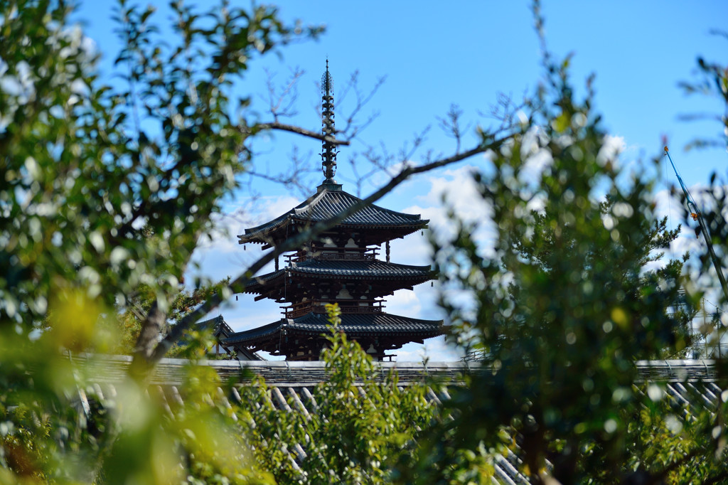 法隆寺　五重塔