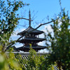 法隆寺　五重塔