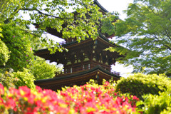 岡寺　三重宝塔