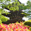 岡寺　三重宝塔