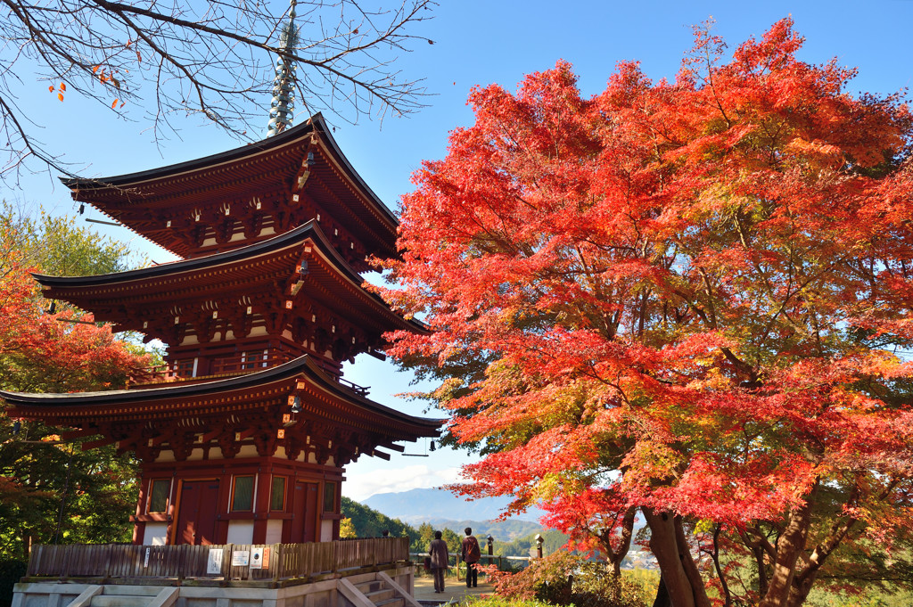 岡寺　三重宝塔