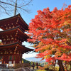 岡寺　三重宝塔