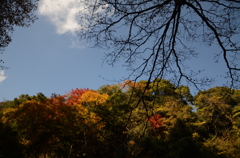 DSC_1114