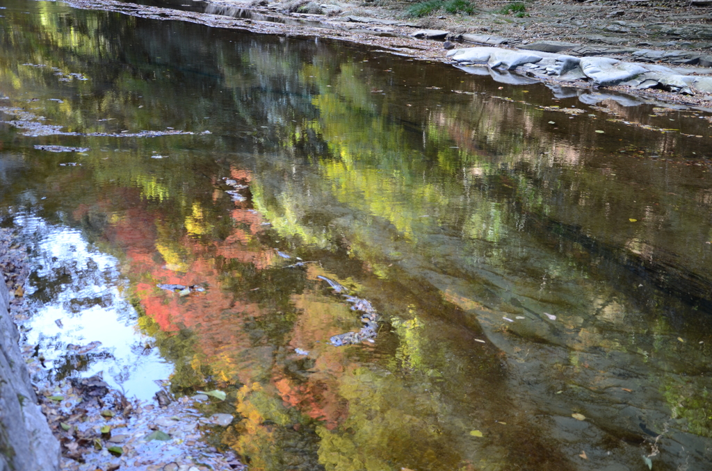 DSC_1101