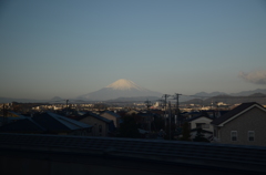 DSC_1264