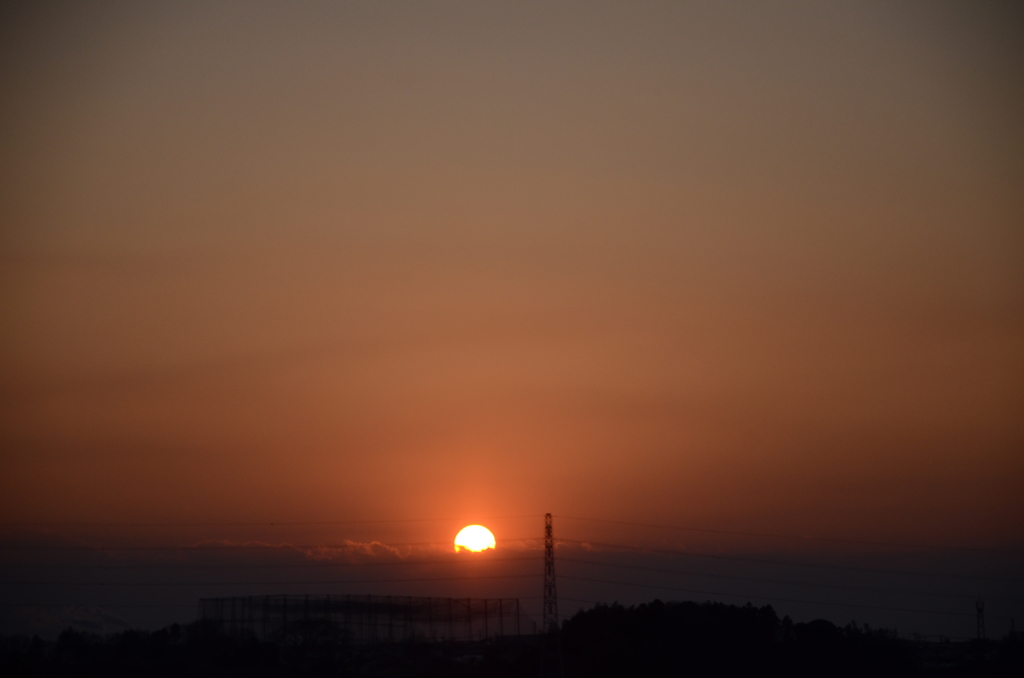 DSC_2441