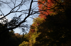 DSC_1011