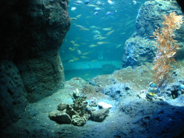 新江ノ島水族館