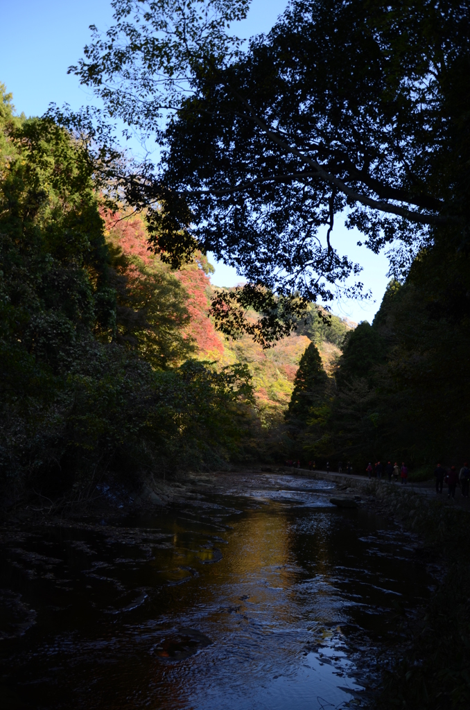 DSC_1021