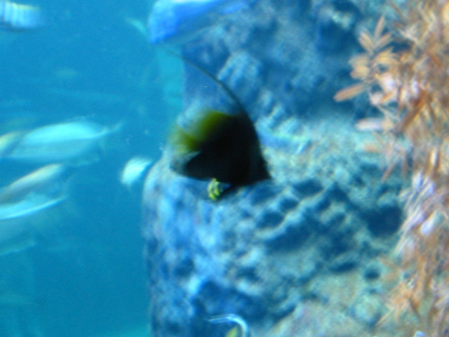 新江ノ島水族館