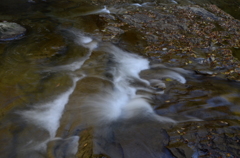 DSC_1082