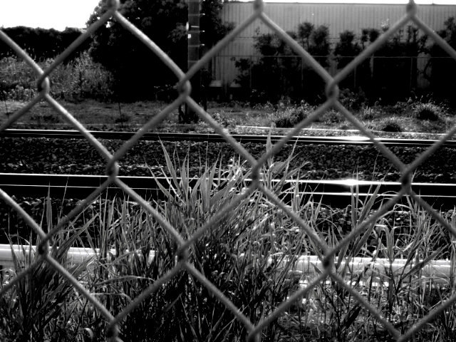 モノクローム　/　フェンスと線路
