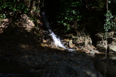 DSC_0990