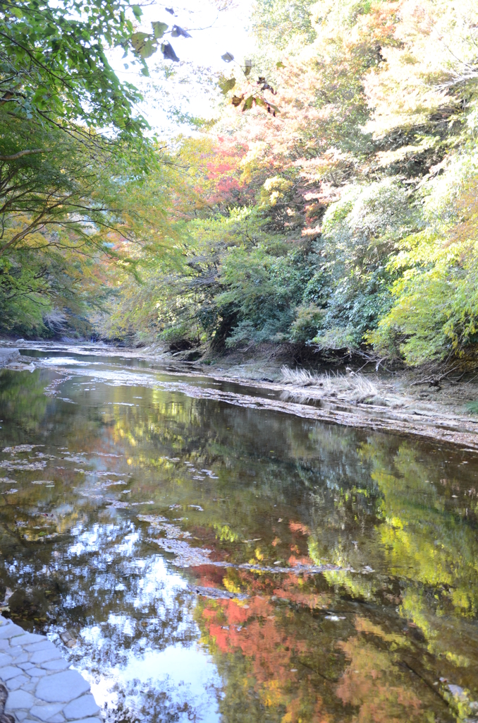 DSC_1105