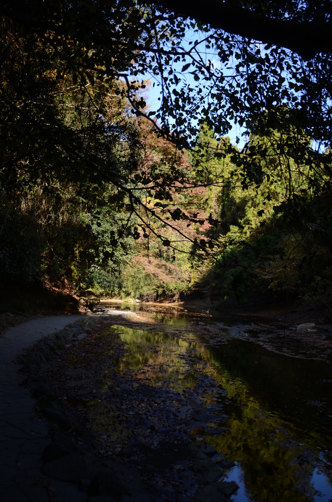 DSC_1130