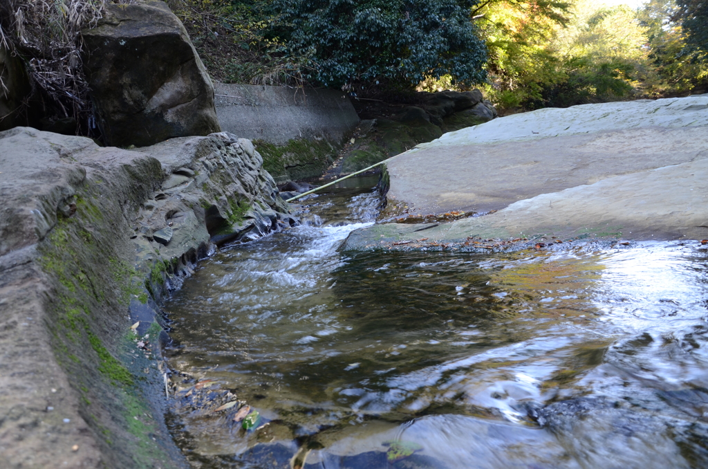 DSC_0880